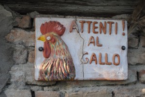 azienda-agricola-gallo